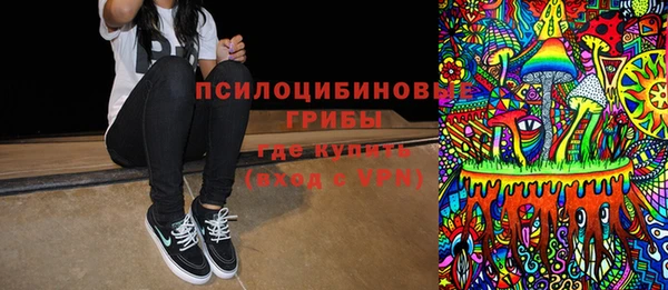 ECSTASY Козельск