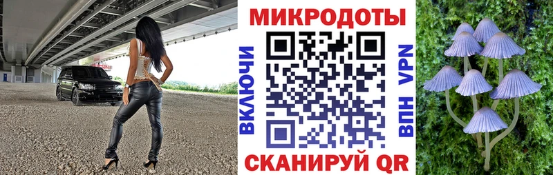 Псилоцибиновые грибы Magic Shrooms  Купить где  Питкяранта 