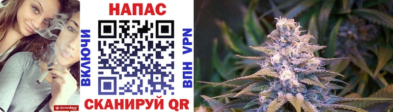 Конопля ГИДРОПОН  Купить закладки  Питкяранта 